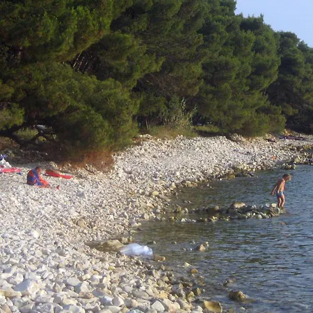 Family Friendly House With A Swimming Pool Barbariga, - 22763 *
