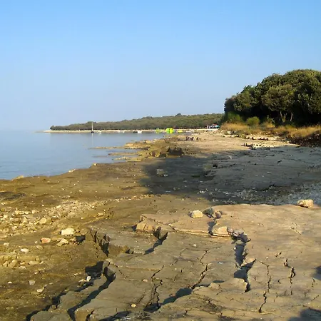 Family Friendly House With A Swimming Pool Barbariga, - 22763 Holiday home *