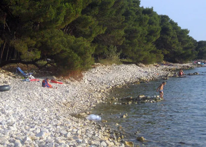 Family Friendly House With A Swimming Pool Barbariga, - 22763 *